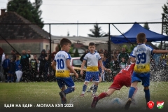 DSC_0303